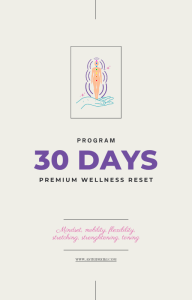 ebook mindset 30 day